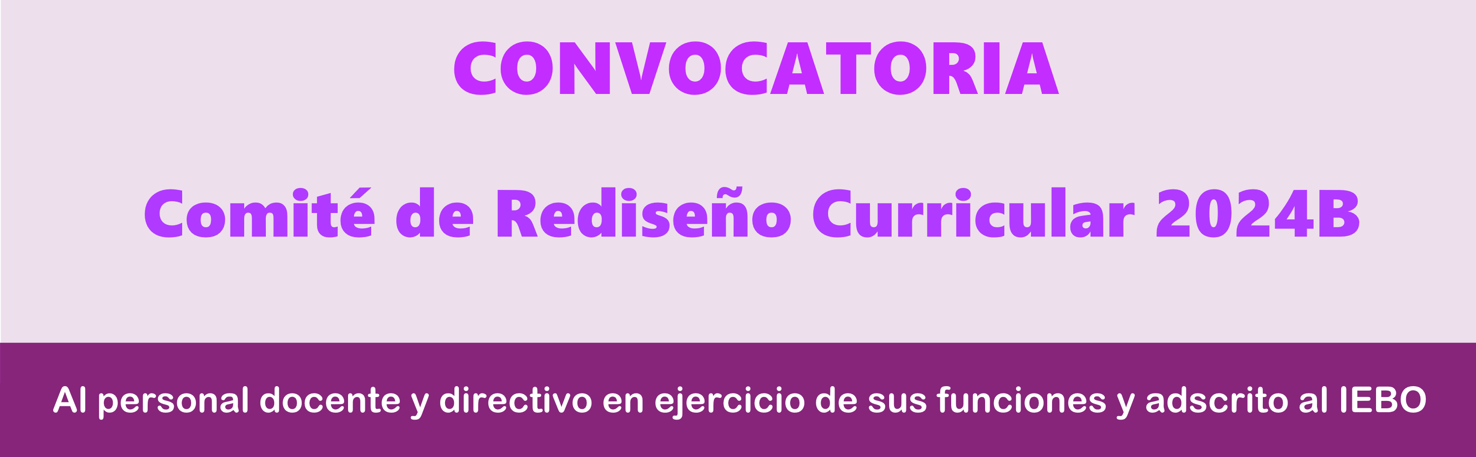 Convocatoria del Comité de Rediseño Curricular NEM