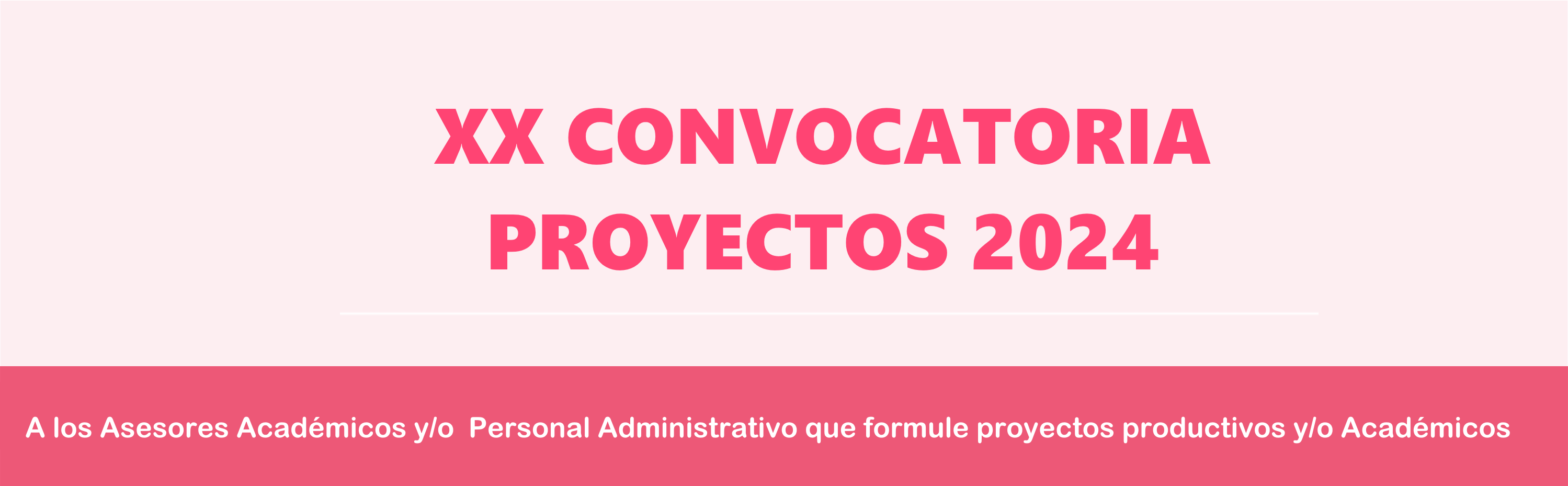 XX CONVOCATORIA PROYECTOS 2024